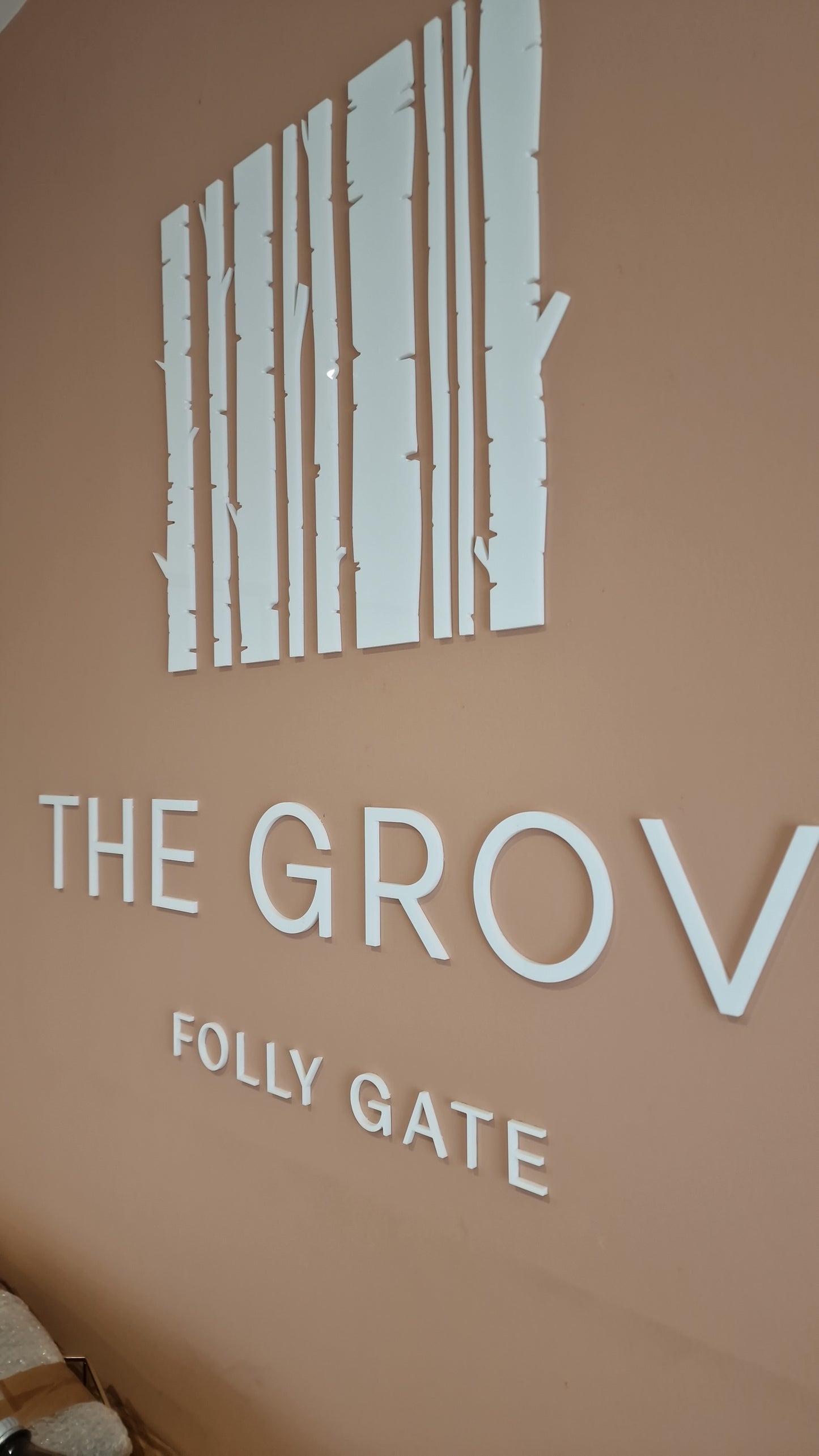 Acrylic Wall Cut out Text